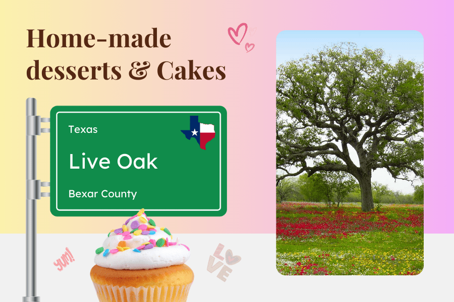 Live Oak Bexar Cake Shop - It Sprinkles 1 Live Oak