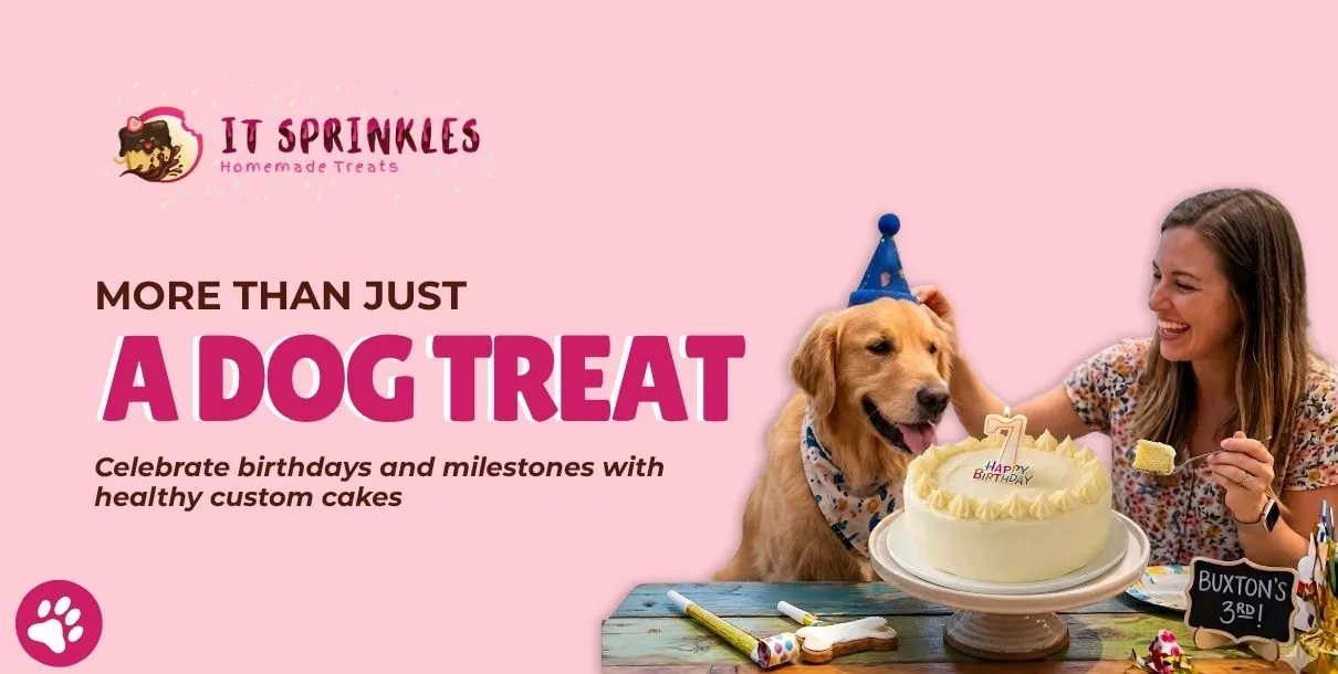 Healthy Custom Dog Cake In Austin For Birthdays And Pet Celebrations