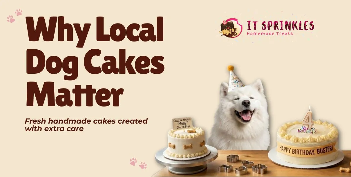Local Austin Cake Shop Creating Handmade Custom Dog Cakes